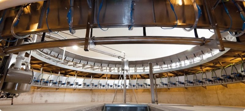 Carrousel milking parlour