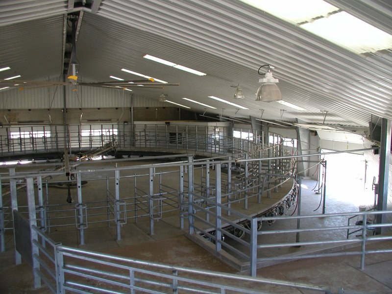 Carrousel milking parlour
