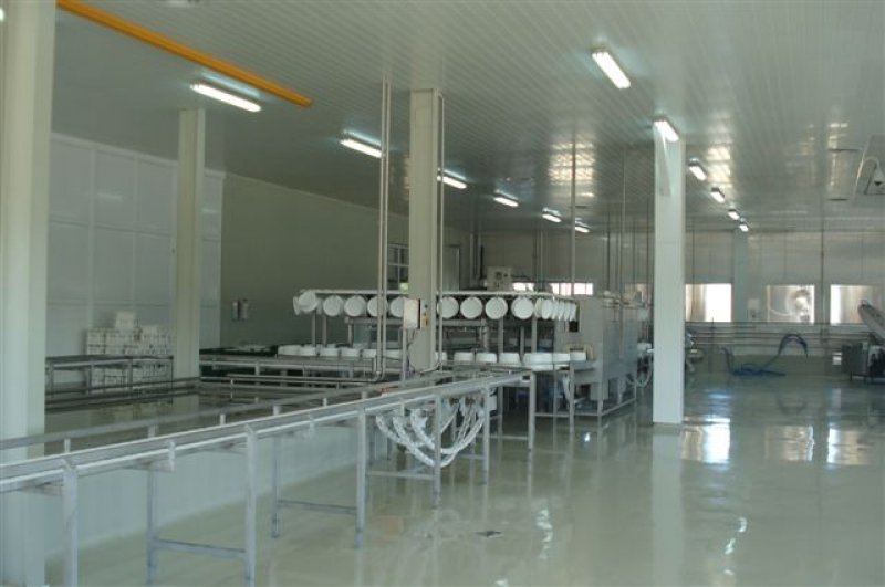 Cheese processing