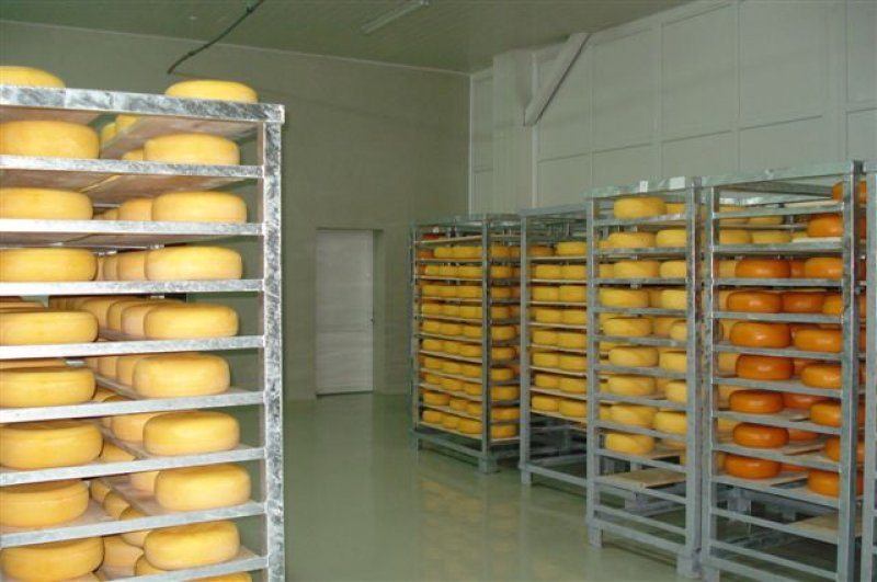 Cheese processing