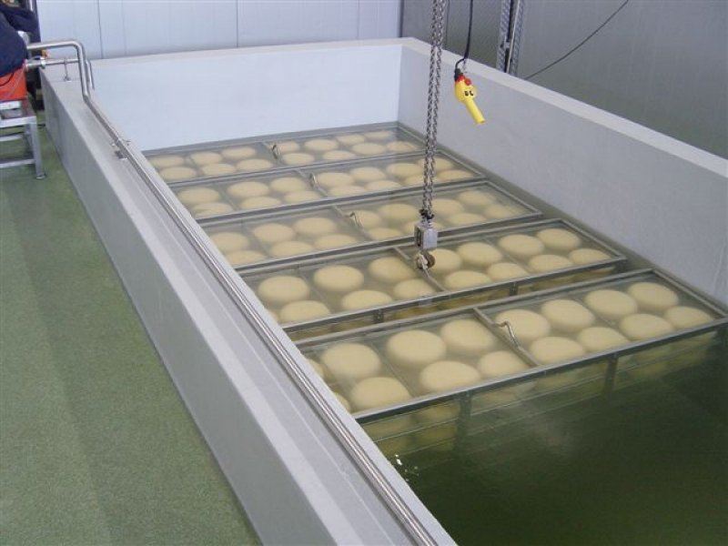 Cheese processing