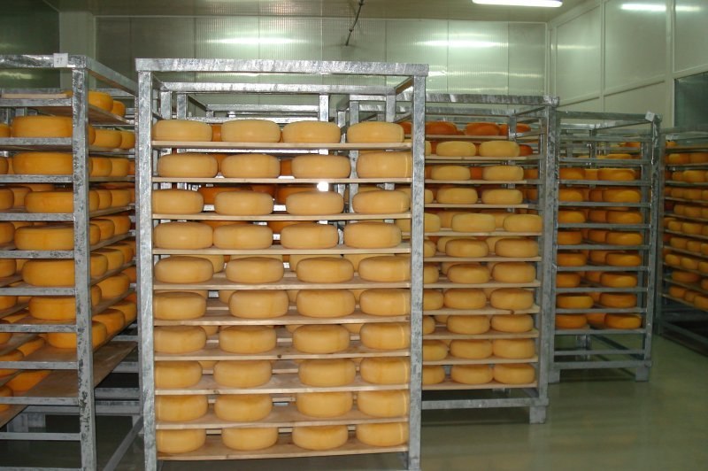 Cheese processing