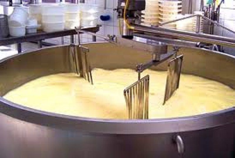 Cheese processing