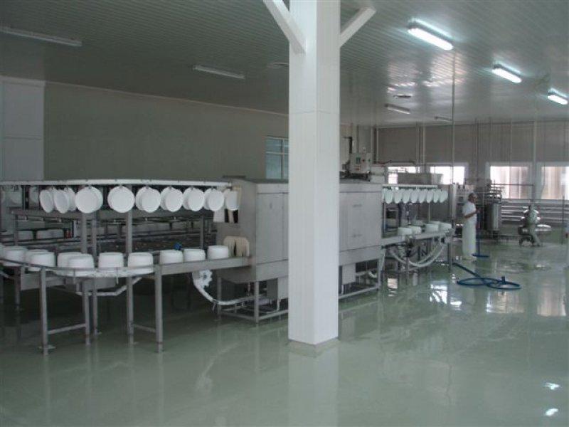 Cheese processing