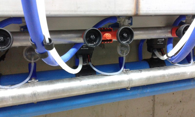 Rapid exit side by side milking parlour goats