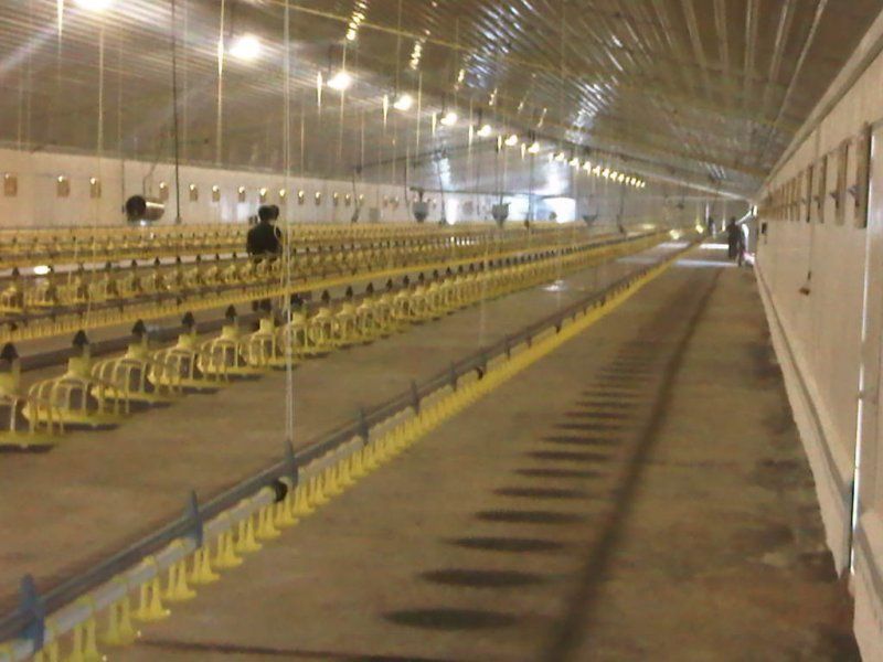 Feeding and drinking systems