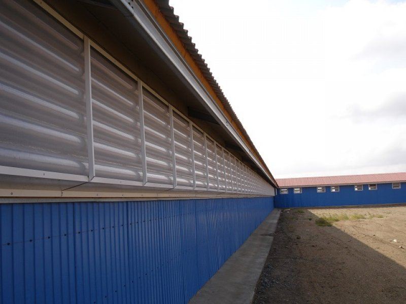 Kazachstan, DFP 1100 cows