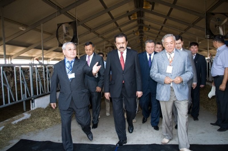 Kazachstan, DFP 1100 cows