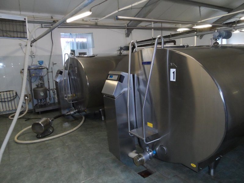 Kazachstan, DFP 1100 cows