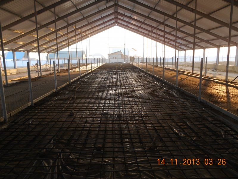 Kazachstan, DFP 750 cows