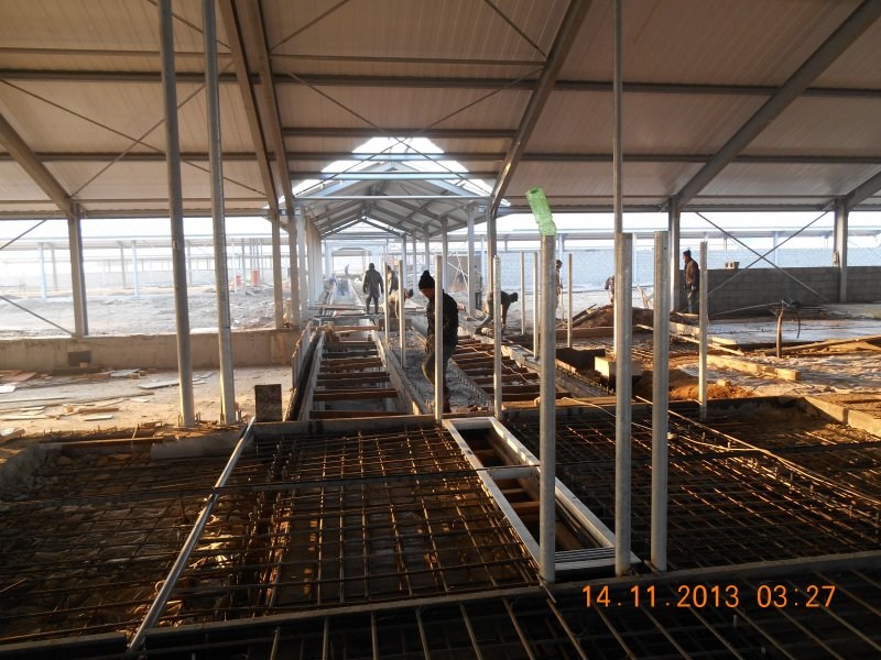 Kazachstan, DFP 750 cows