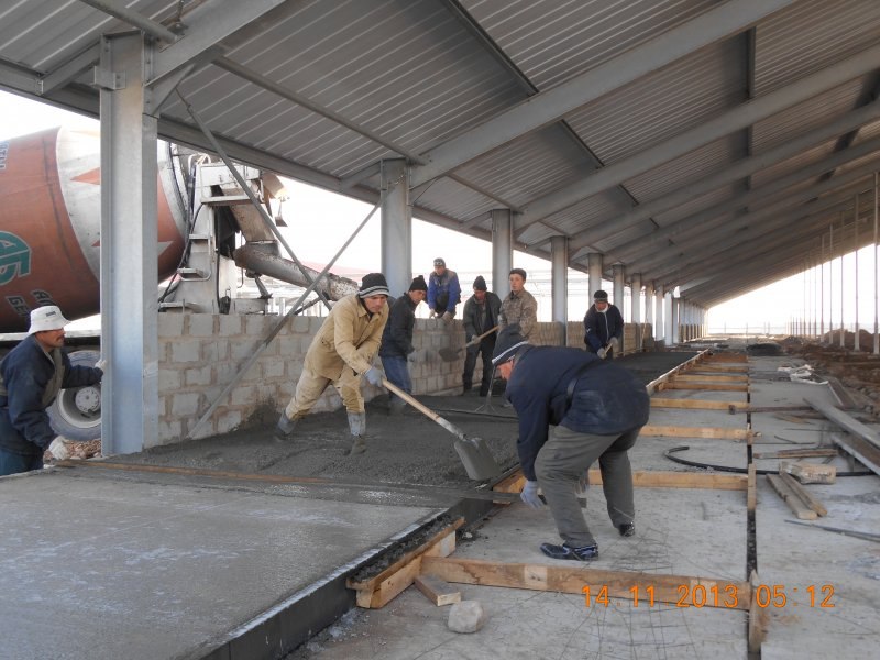Kazachstan, DFP 750 cows