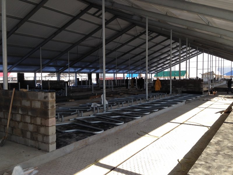 Kazachstan, DFP 750 cows