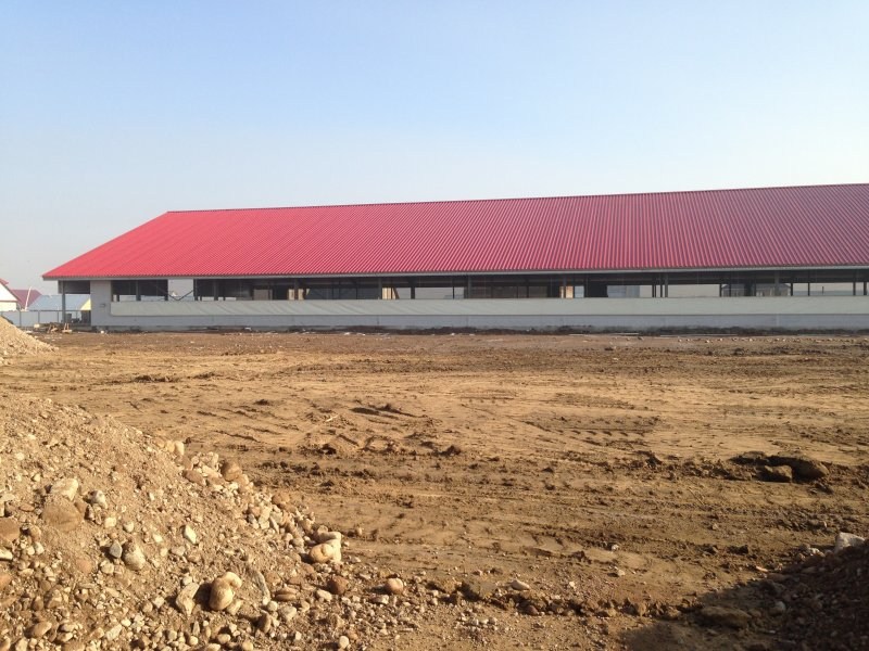 Kazachstan, DFP 750 cows