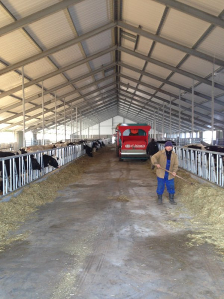 Kazachstan, DFP 750 cows