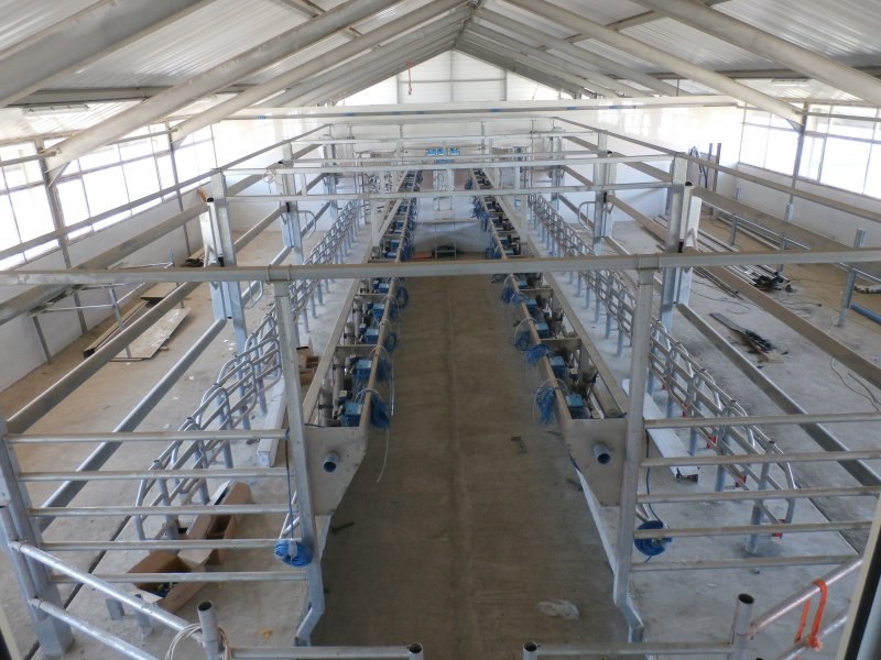 Kazachstan, DFP 750 cows