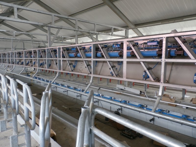 Kazachstan, DFP 750 cows