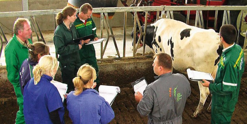 Management and training