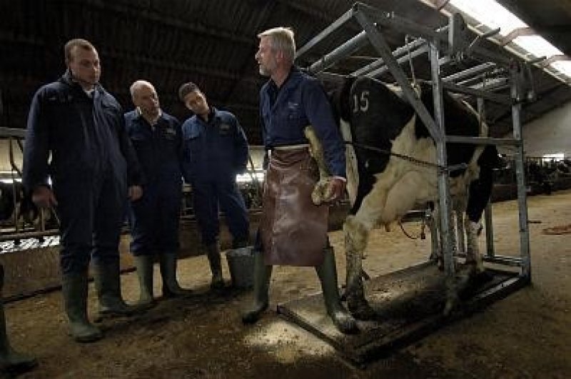 Management and training