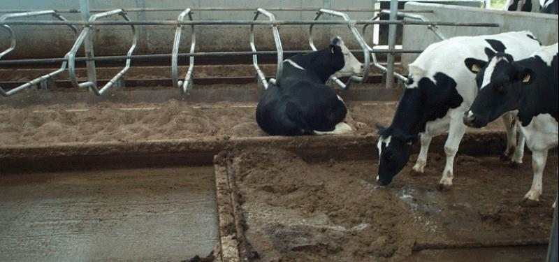 Manure handling