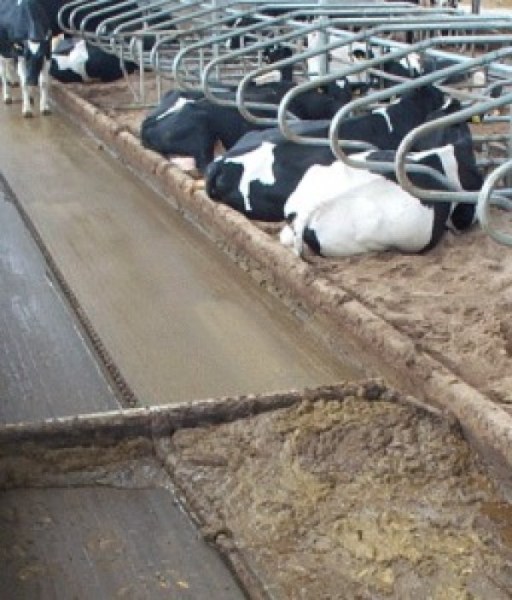 Manure handling