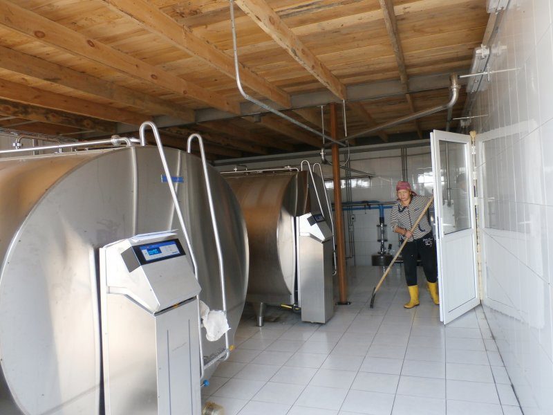 Milk cooling and -storage