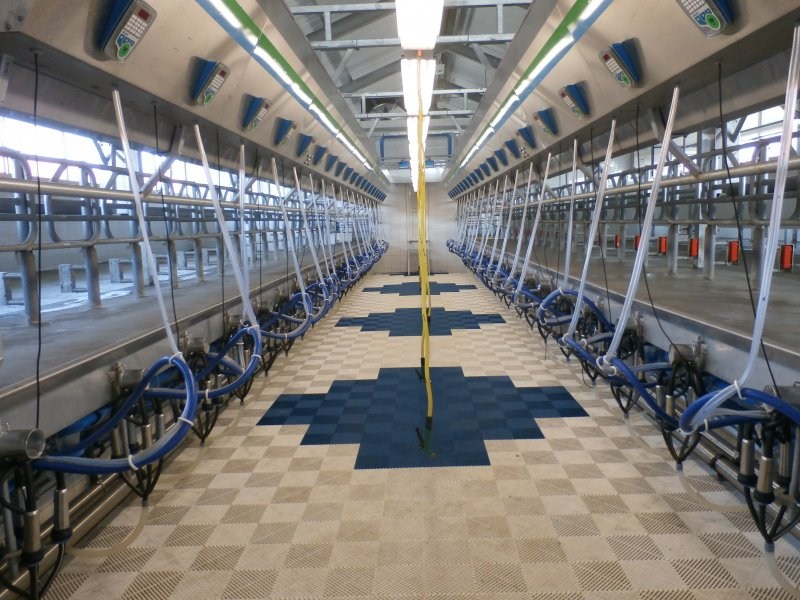 Milking parlours