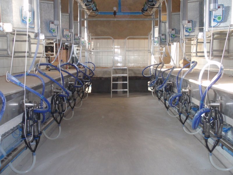 Milking parlours
