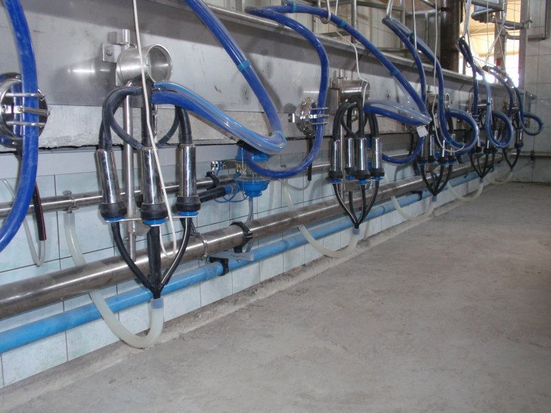 Milking parlours