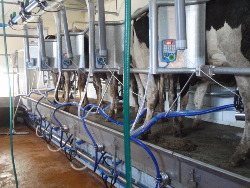Milking parlours