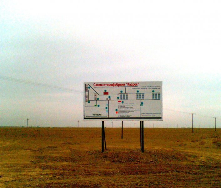 Poultry projects