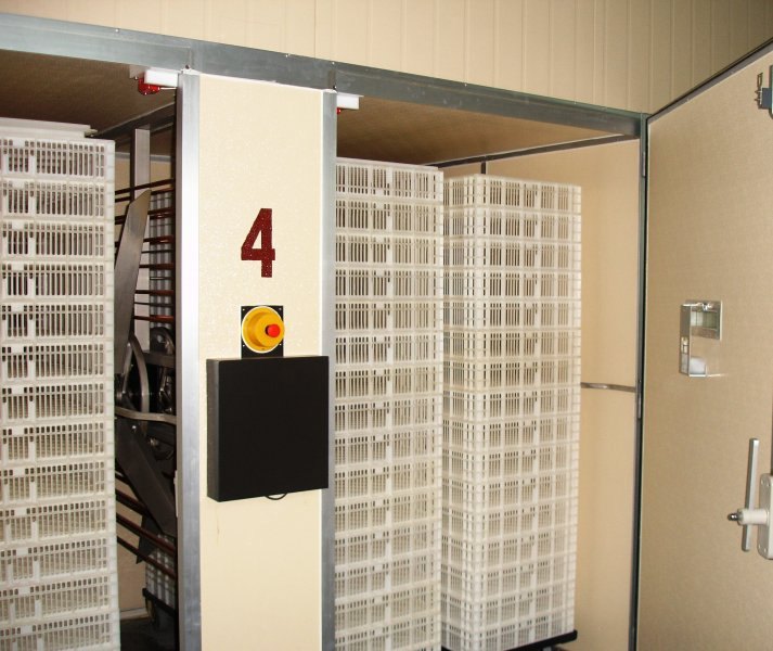 Poultry projects