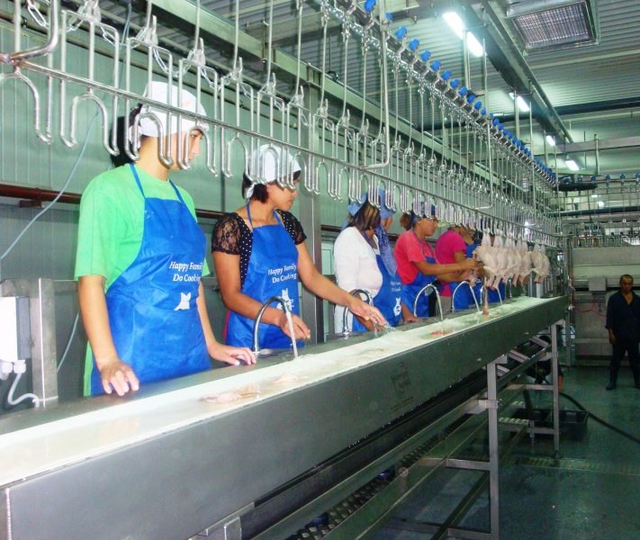 Poultry projects