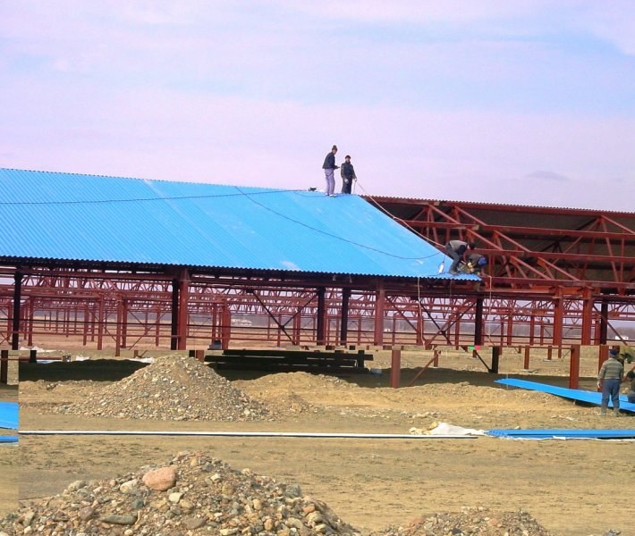 Poultry projects