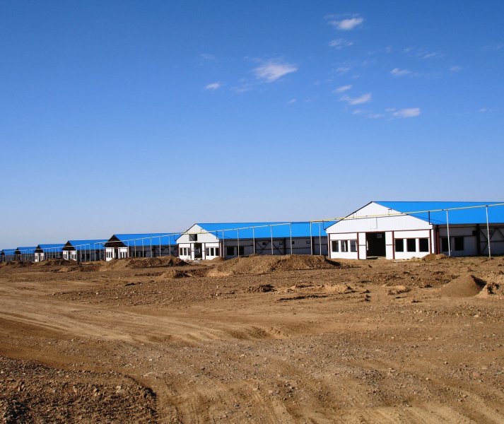 Poultry projects
