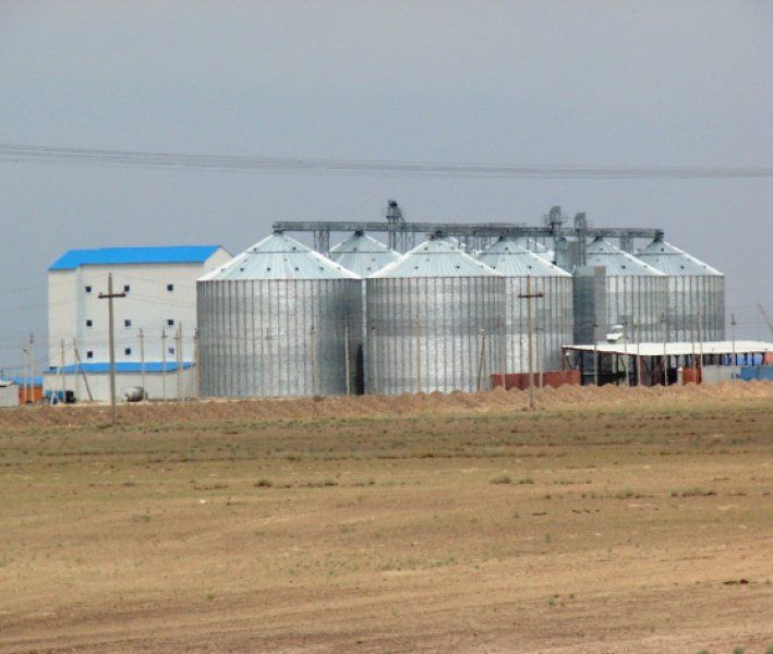 Poultry projects