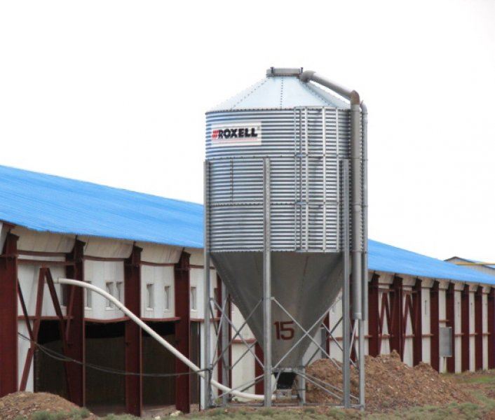 Poultry projects