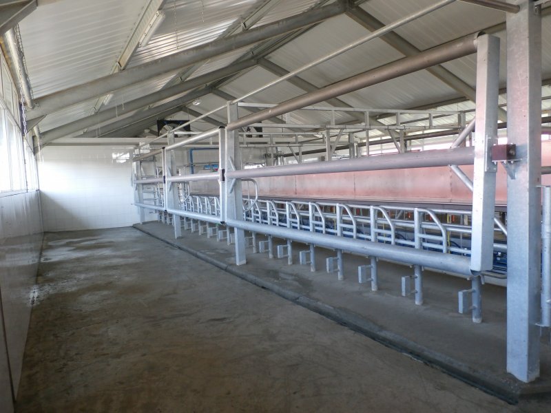 Side by side milking parlour