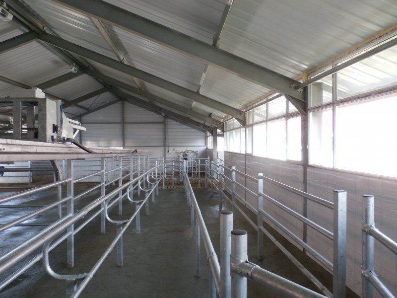 Side by side milking parlour