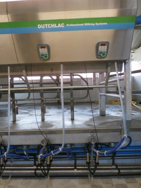 Side by side milking parlour
