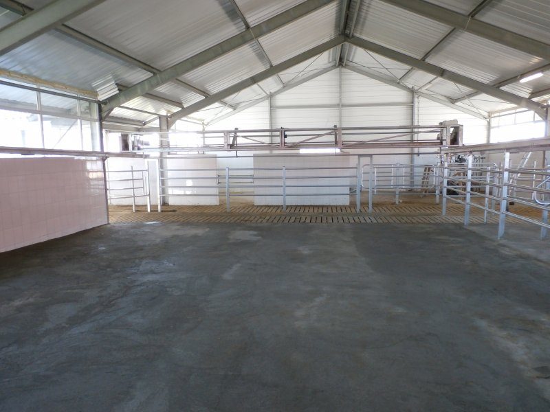 Side by side milking parlour
