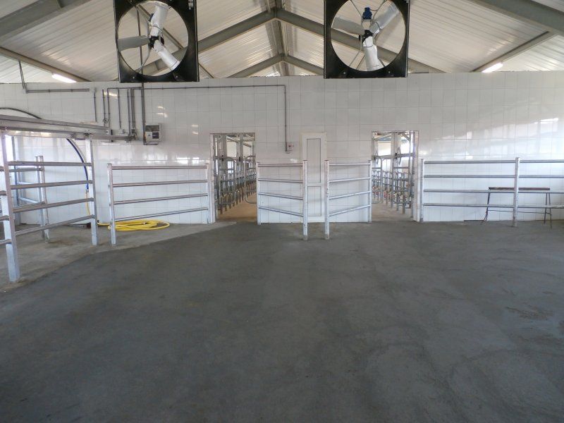 Side by side milking parlour