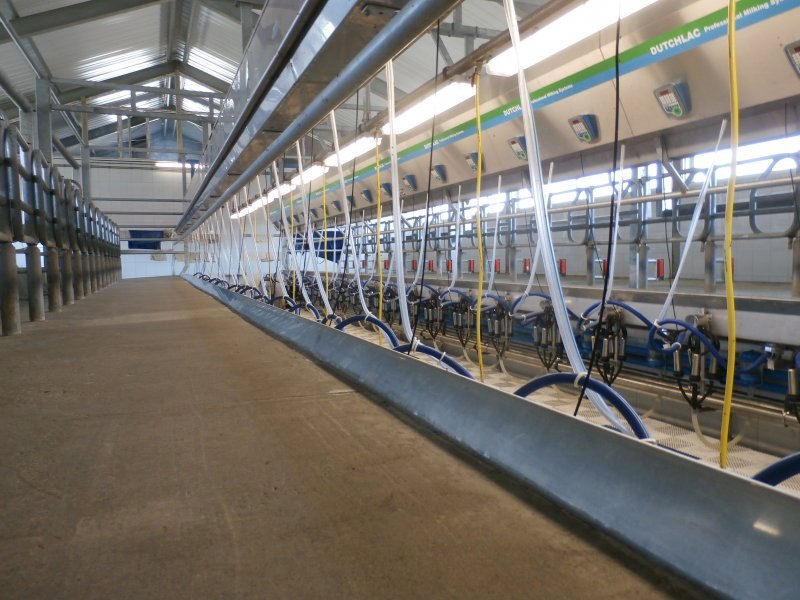 Side by side milking parlour