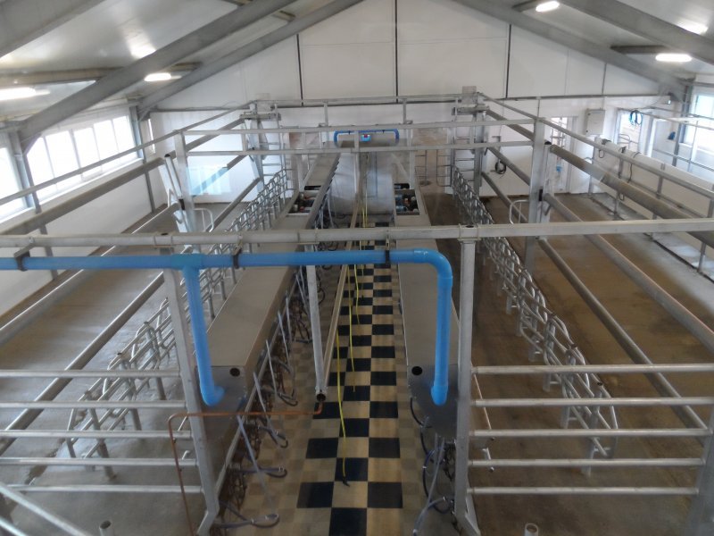 Side by side milking parlour