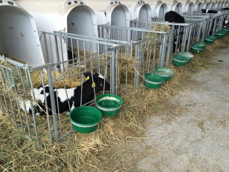 Stable equipment