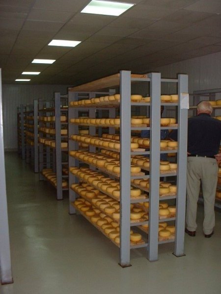 Milk processing plant Sudan