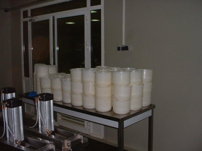 Milk processing plant Sudan