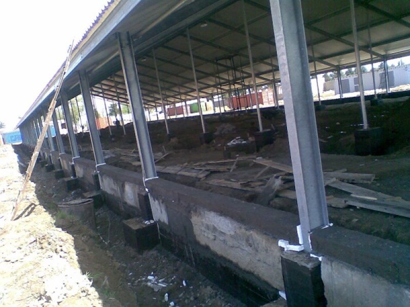 Uzbekistan, DFP 500 cows