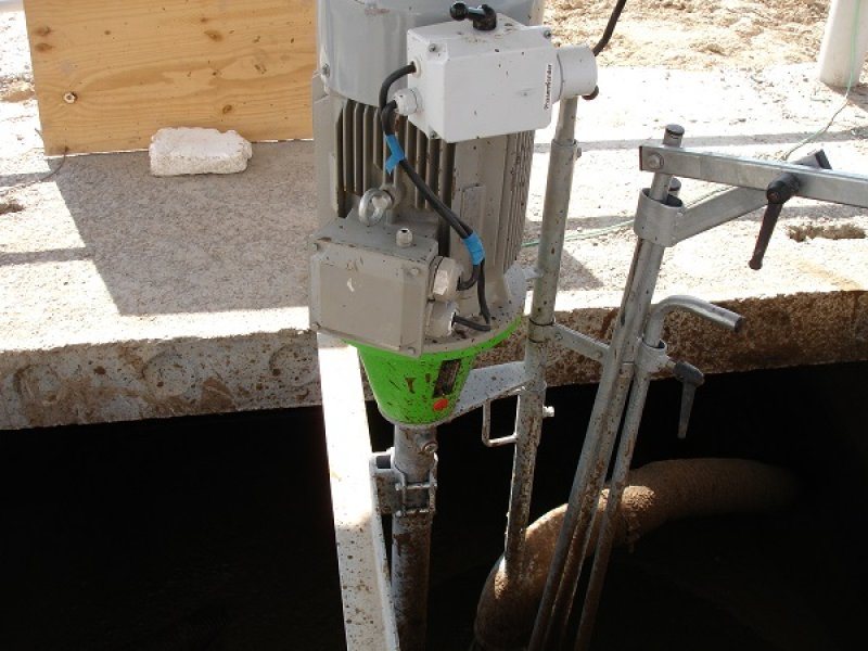 Uzbekistan, DFP 500 cows