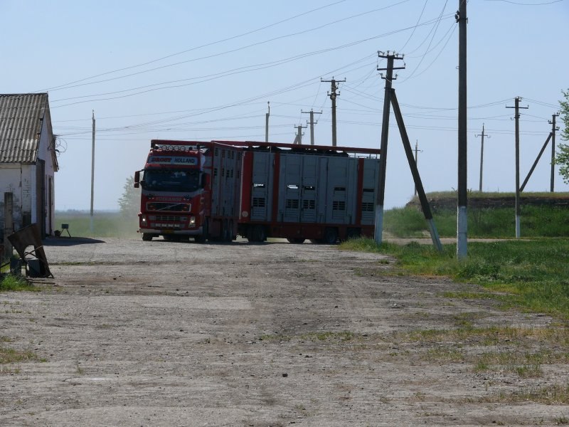 transport